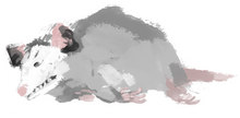 Load image into Gallery viewer, “Sleeping” - opossum sticker
